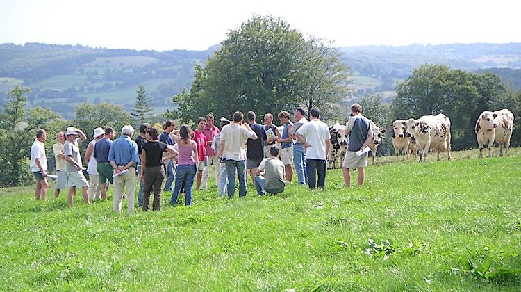 52 FERMES – Autant de bons plans au Pays Basque, en Béarn et en Bigorre